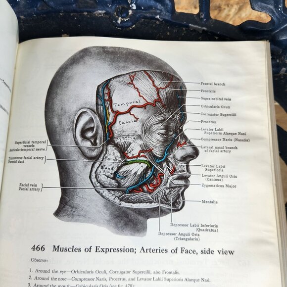 Grants Atlas Of Anatomy Sixth Edition Hardcover By J.C. Boileau Grant - Picture 10 of 15